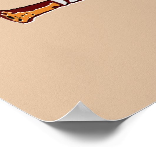 Pelicans Baseball Poster (Hoek)