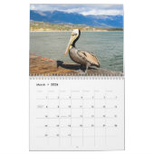 Pelicans Bird 2022 Kalender (Mar 2026)