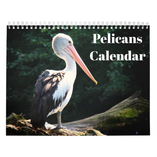 Pelicans Bird 2022 Kalender (Hoes)