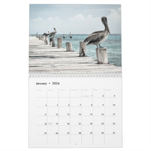 Pelicans Bird 2022 Kalender (Jan 2026)
