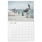 Pelicans Bird 2022 Kalender (Jan 2027)