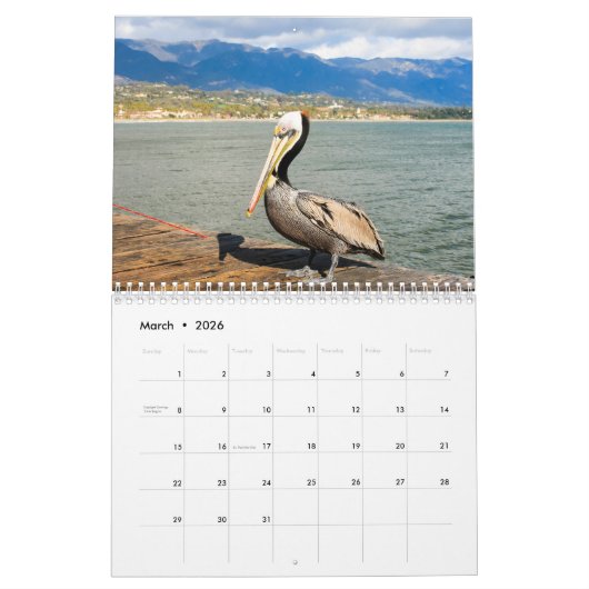 Pelicans Bird Kalender (Mar 2026)