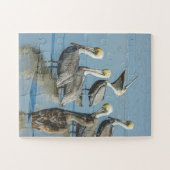 Pelicans Bird Natuur Beach Oversize Legpuzzel (Horizontaal)