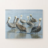 Pelicans Bird Natuur Beach Oversize Legpuzzel (Horizontaal)