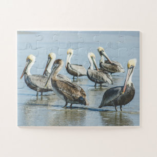 Pelicans Bird Natuur Beach Oversize Legpuzzel