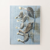 Pelicans Bird Natuur Beach Oversize Legpuzzel (Verticaal)
