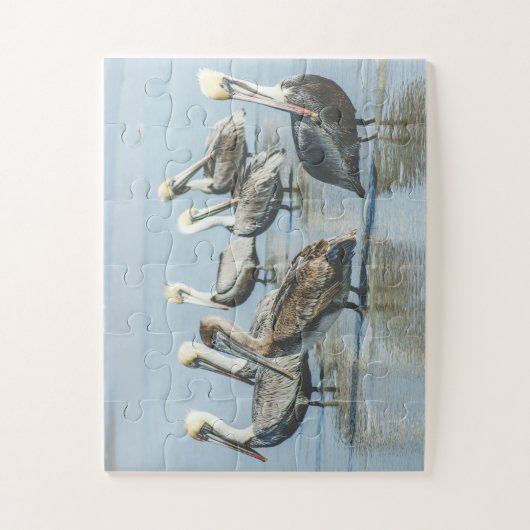 Pelicans Bird Natuur Beach Oversize Legpuzzel (Verticaal)