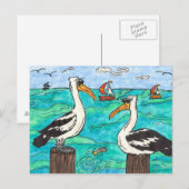 Pelicans Briefkaart (Voorkant / Achterkant)