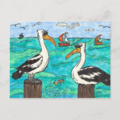 Pelicans Briefkaart (Voorkant)