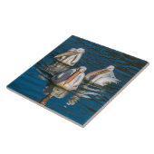 Pelicans close-up uitzicht keramische tegel tegeltje (Zijkant)