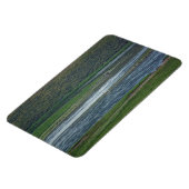 Pelicans doen mee aan de ganzen magneet (Linkerzijde)