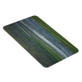 Pelicans doen mee aan de ganzen magneet (Rechterzijde)