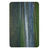 Pelicans doen mee aan de ganzen magneet (Verticaal)