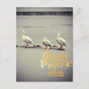 Pelicans en Seagull Dream Bigger Briefkaart