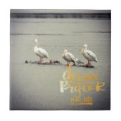 Pelicans en Seagull Dream Bigger Tegeltje (Voorkant)