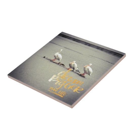 Pelicans en Seagull Dream Bigger Tegeltje (Zijkant)