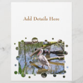 PELICANS FLYER (Voorkant)