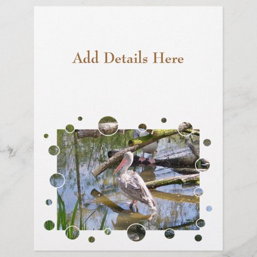 PELICANS FLYER (Voorkant)