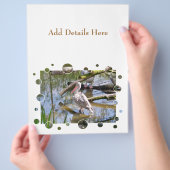 PELICANS FLYER (Hand)