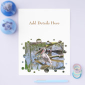 PELICANS FLYER (Enkel)