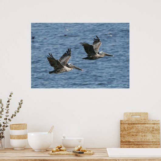 Pelicans in Flight Poster (Keuken)
