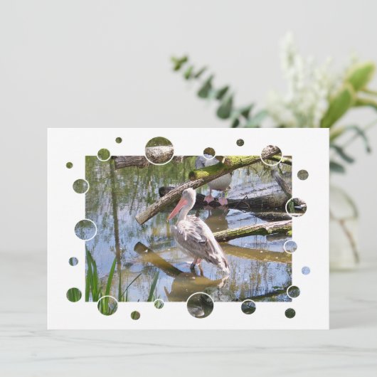 PELICANS-INVITATIE (Staand voorkant)