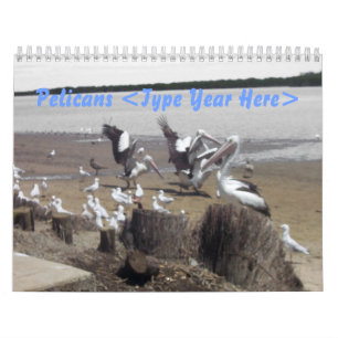 Pelicans Kalender