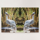 Pelicans Legpuzzel (Horizontaal)