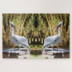 Pelicans Legpuzzel