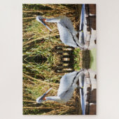 Pelicans Legpuzzel (Verticaal)