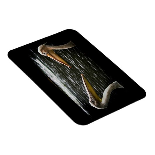 PELICANS LOVERS MAGNET MAGNEET (Rechterzijde)