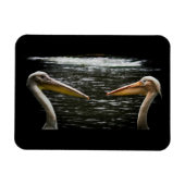PELICANS LOVERS MAGNET MAGNEET (Horizontaal)