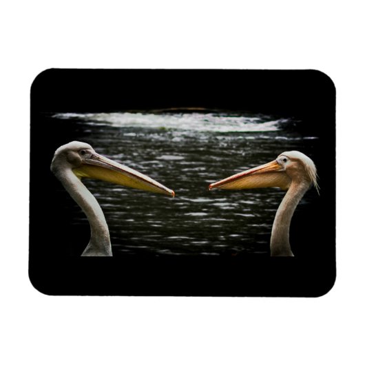 PELICANS LOVERS MAGNET MAGNEET (Horizontaal)