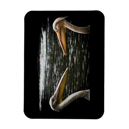 PELICANS LOVERS MAGNET MAGNEET (Verticaal)