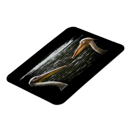 PELICANS LOVERS MAGNET MAGNEET (Linkerzijde)