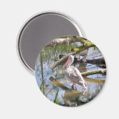 PELICANS MAGNEET (Voorkant / Achterkant)