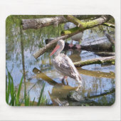 PELICANS MUISMAT (Voorkant)