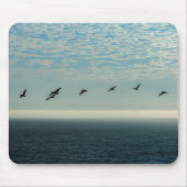 Pelicans Muismat (Voorkant)