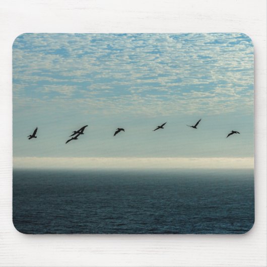 Pelicans Muismat (Voorkant)