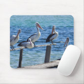 Pelicans Muismat (Met muis)