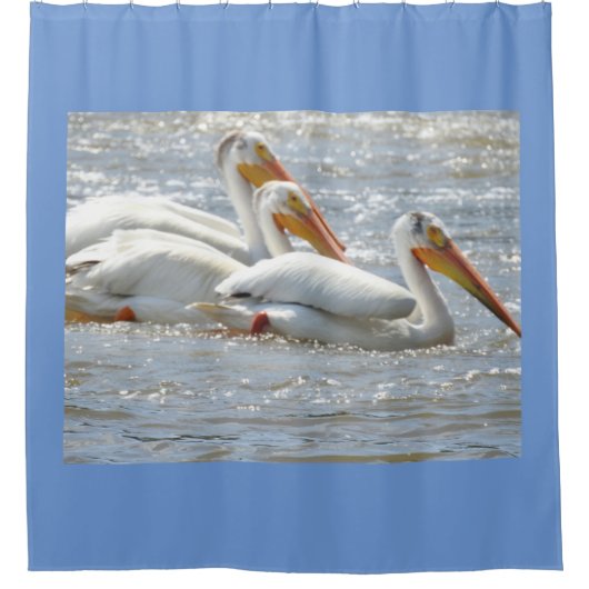 Pelicans Natuur Fotografie Mississippi Show Douchegordijn (Voorkant)