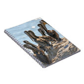 Pelicans Notitieboek (Rechterzijde)