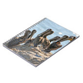 Pelicans Notitieboek (Linkerzijde)