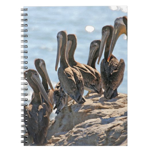 Pelicans Notitieboek (Voorkant)