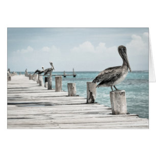 Pelicans On The Pier