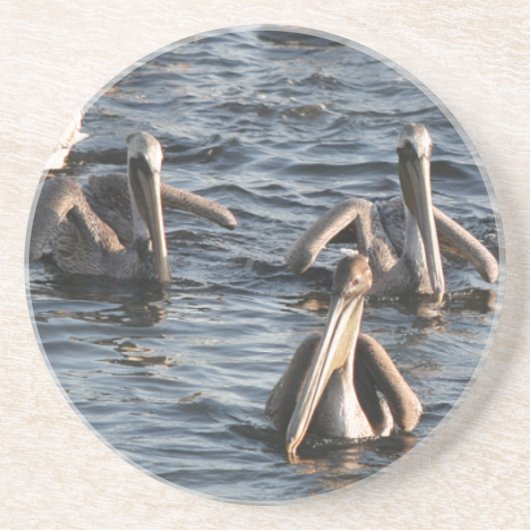 Pelicans Onderzetter (Voorkant)