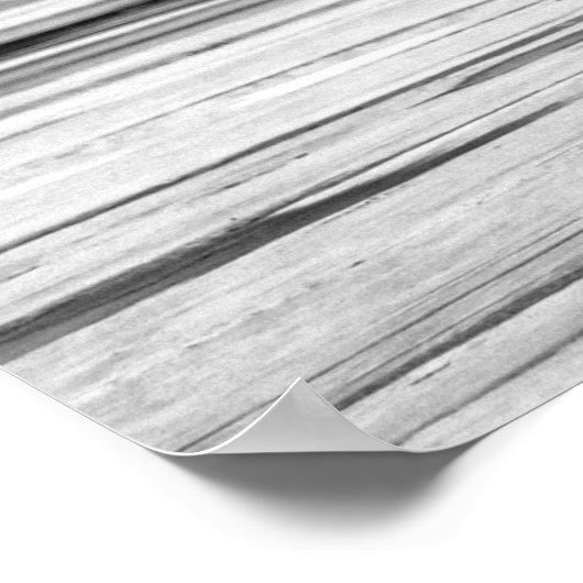 Pelicans Poster (Hoek)