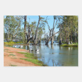Pelicans Sunbaking River Murray, Gift Wrap Sheets Inpakpapier Vel (Voorkant 3)