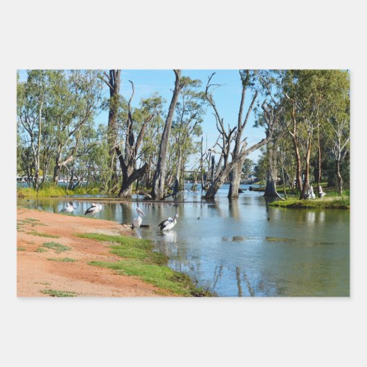 Pelicans Sunbaking River Murray, Gift Wrap Sheets Inpakpapier Vel (Voorkant 3)