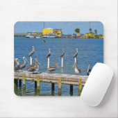 Pelicans Sunbathing Muismat (Met muis)